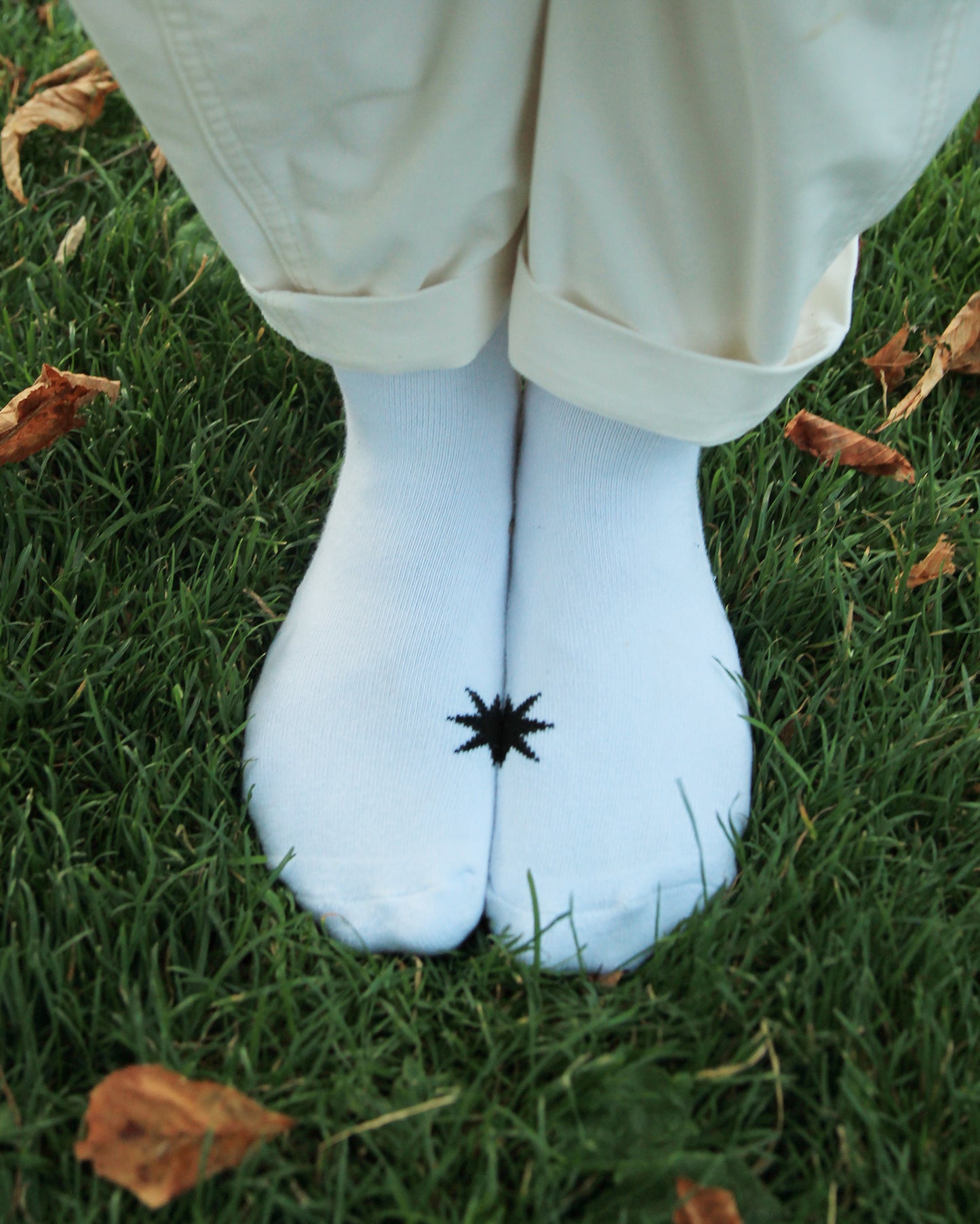 rooted in being socks