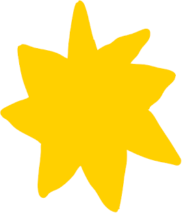 About The Collection